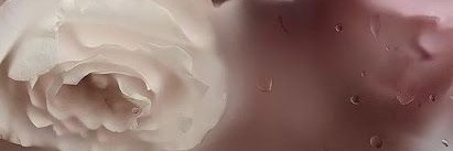 Profile cover