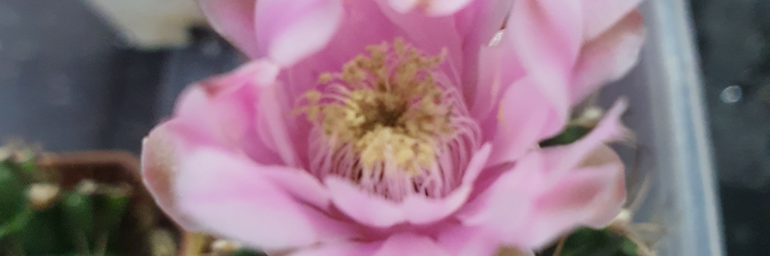 Profile cover