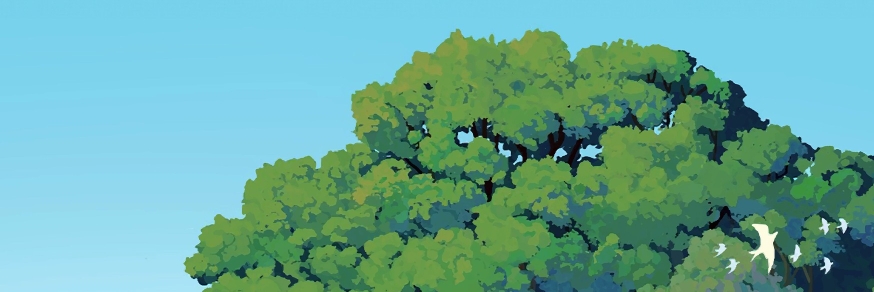 Profile cover