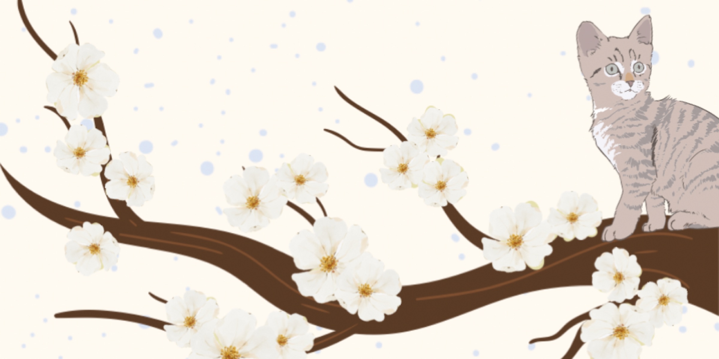 Profile cover