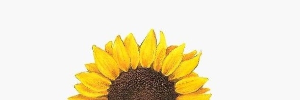 Profile cover