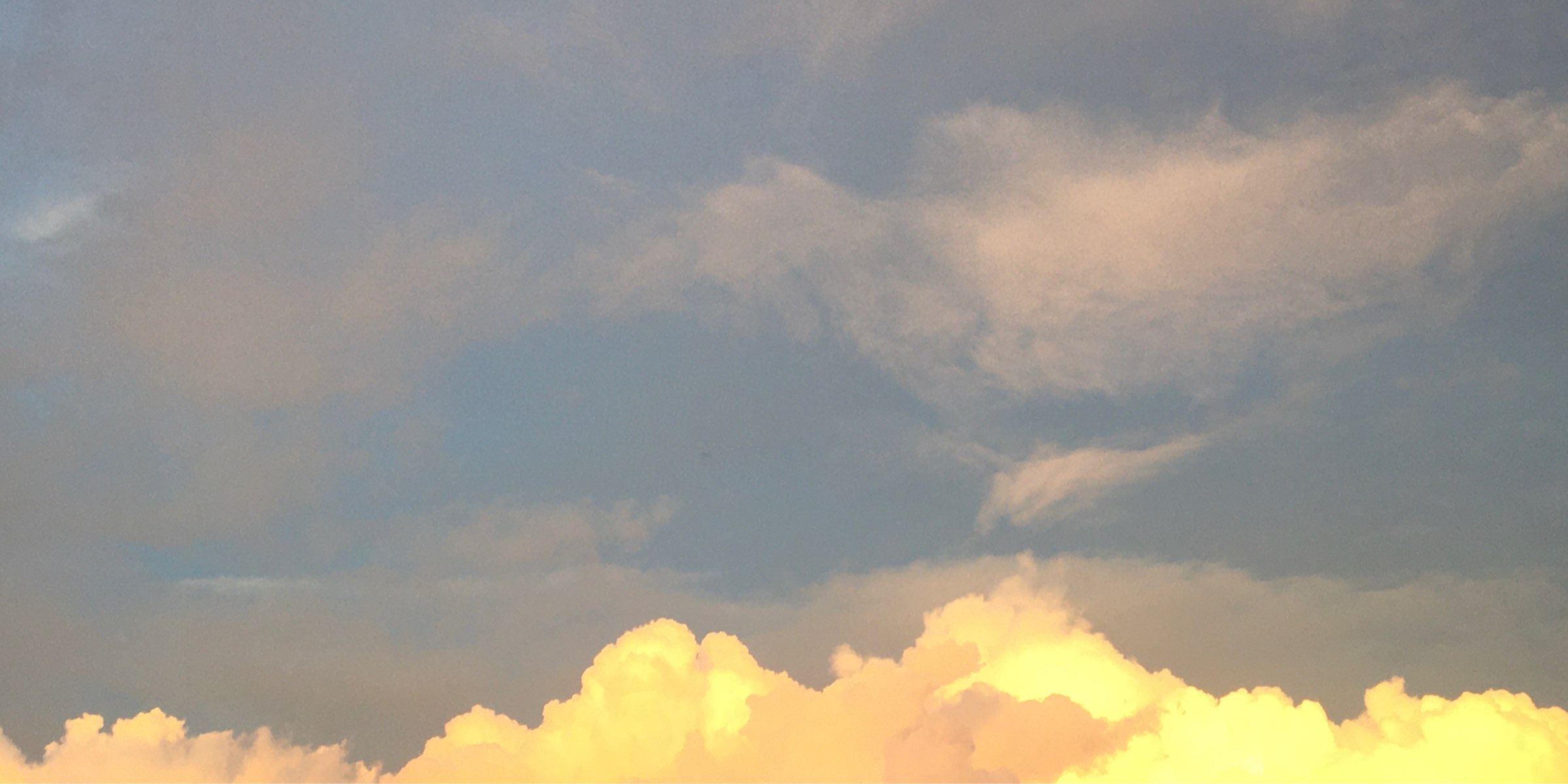 Profile cover