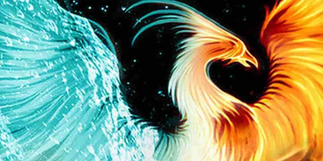 Profile cover