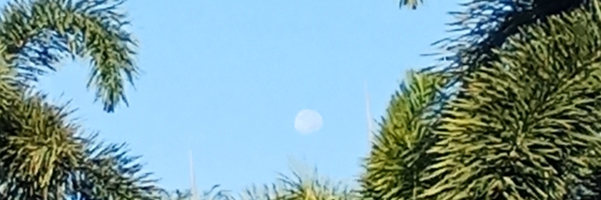 Profile cover