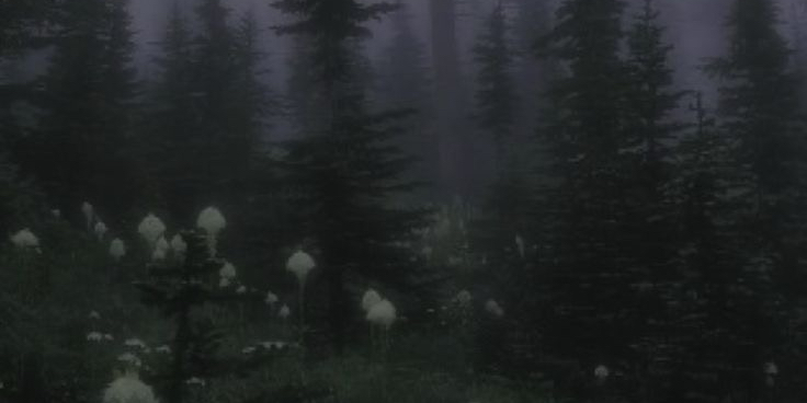 Profile cover
