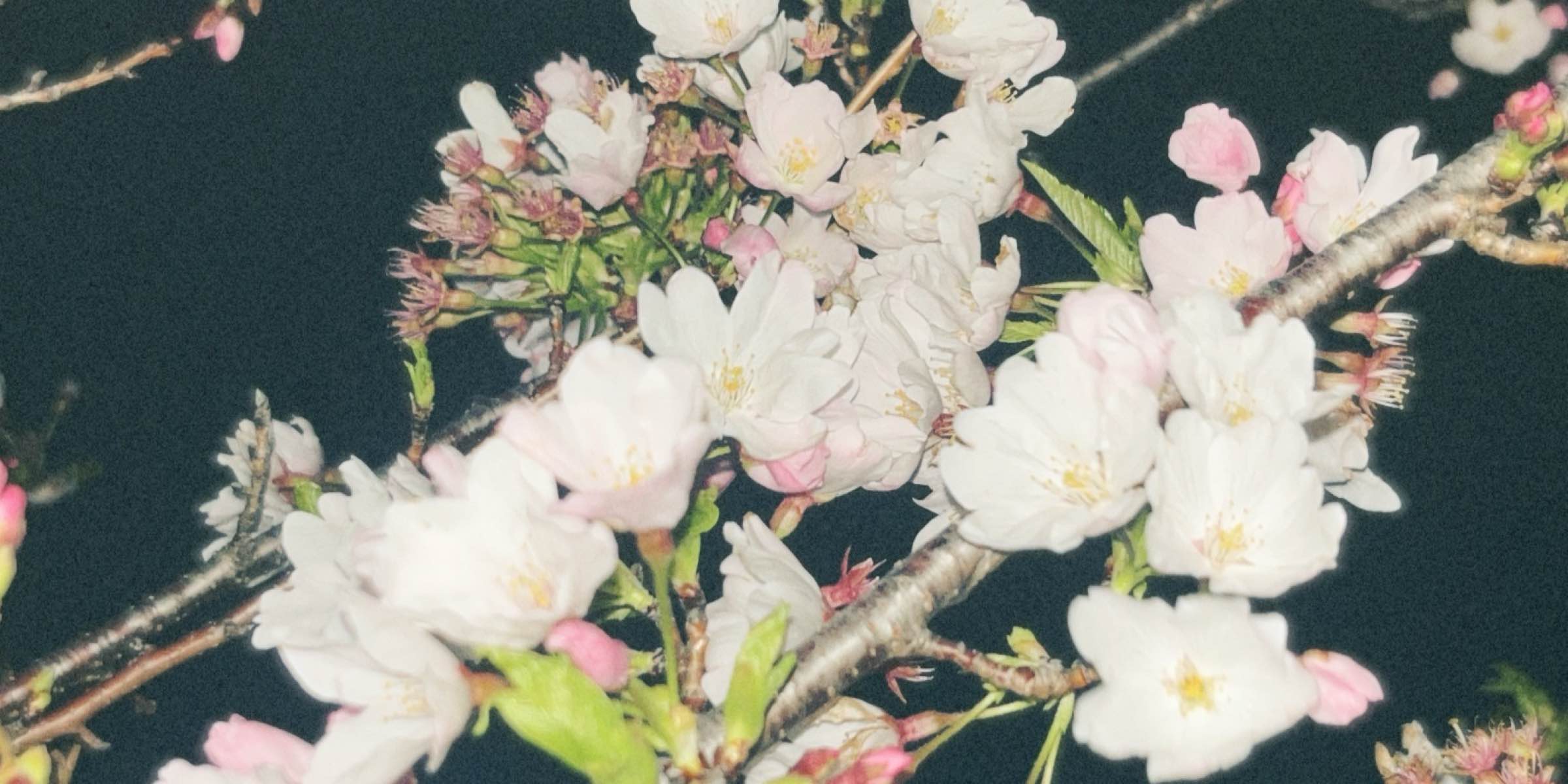 Profile cover