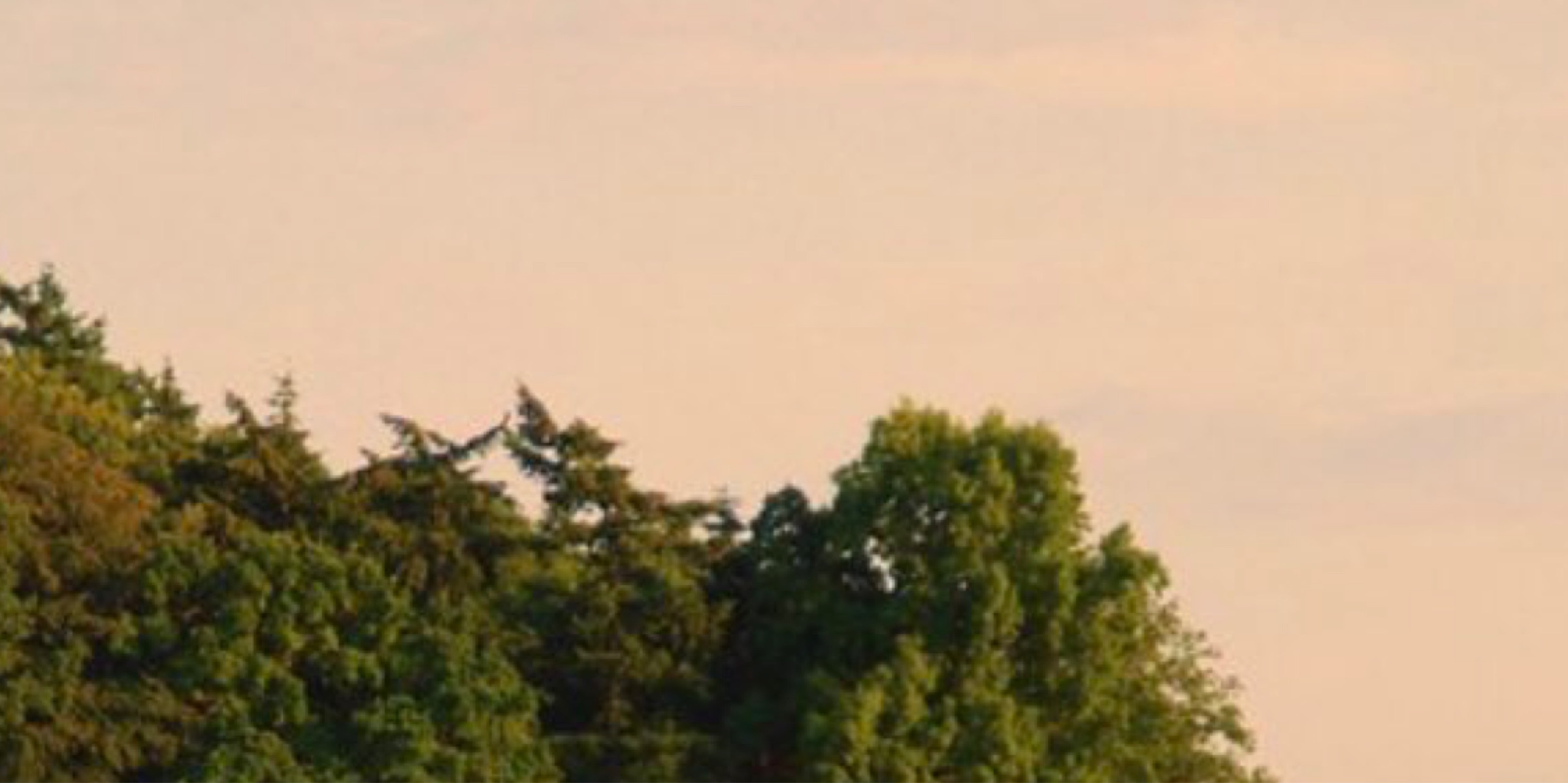 Profile cover