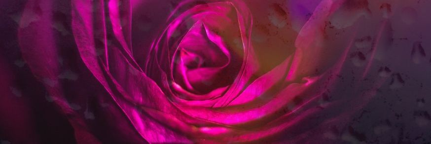 Profile cover