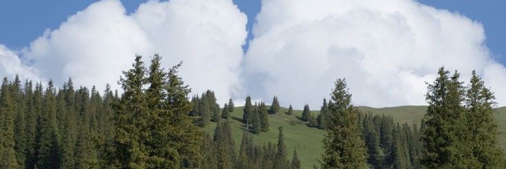 Profile cover