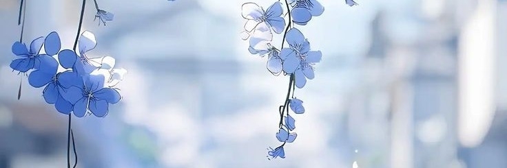 Profile cover