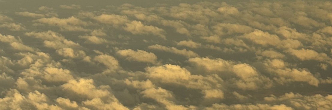 Profile cover