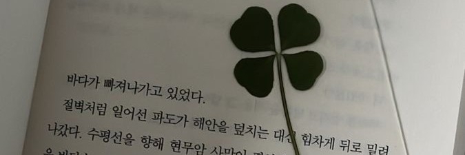 Profile cover