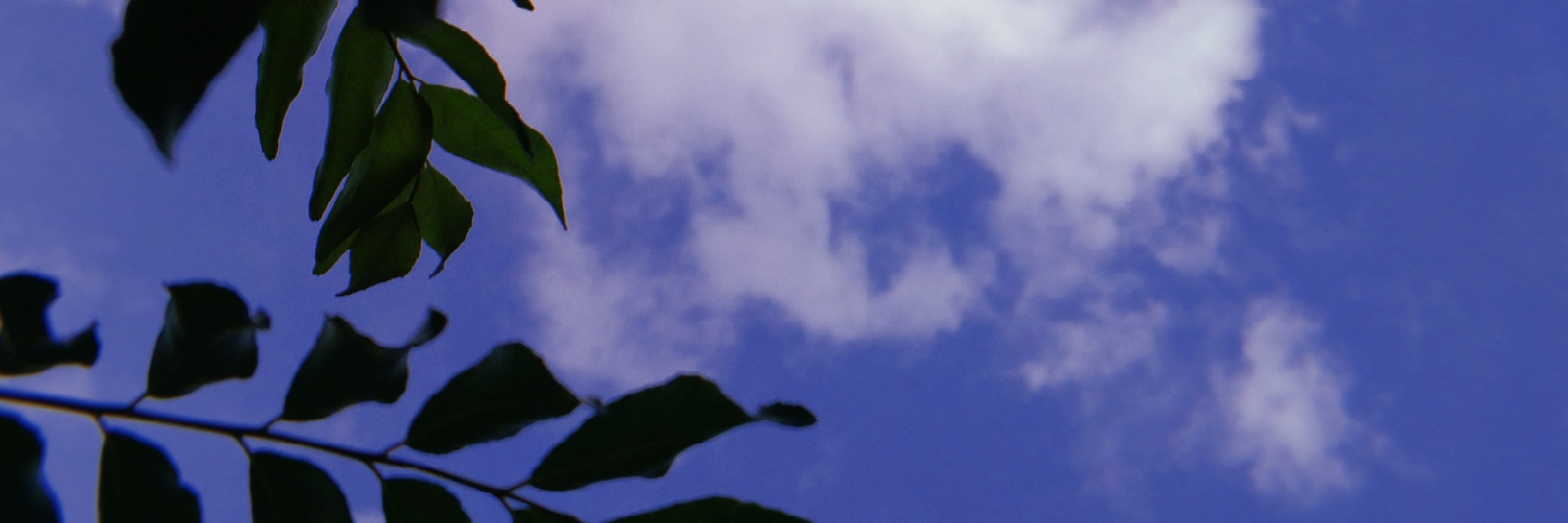 Profile cover