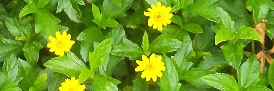 Profile cover