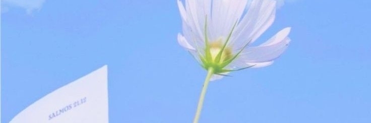 Profile cover