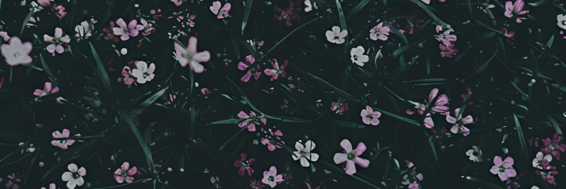 Profile cover