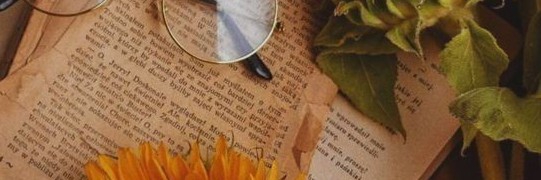 Profile cover