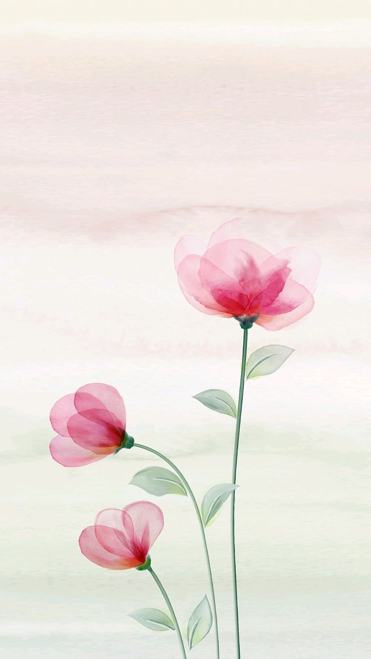 Profile cover
