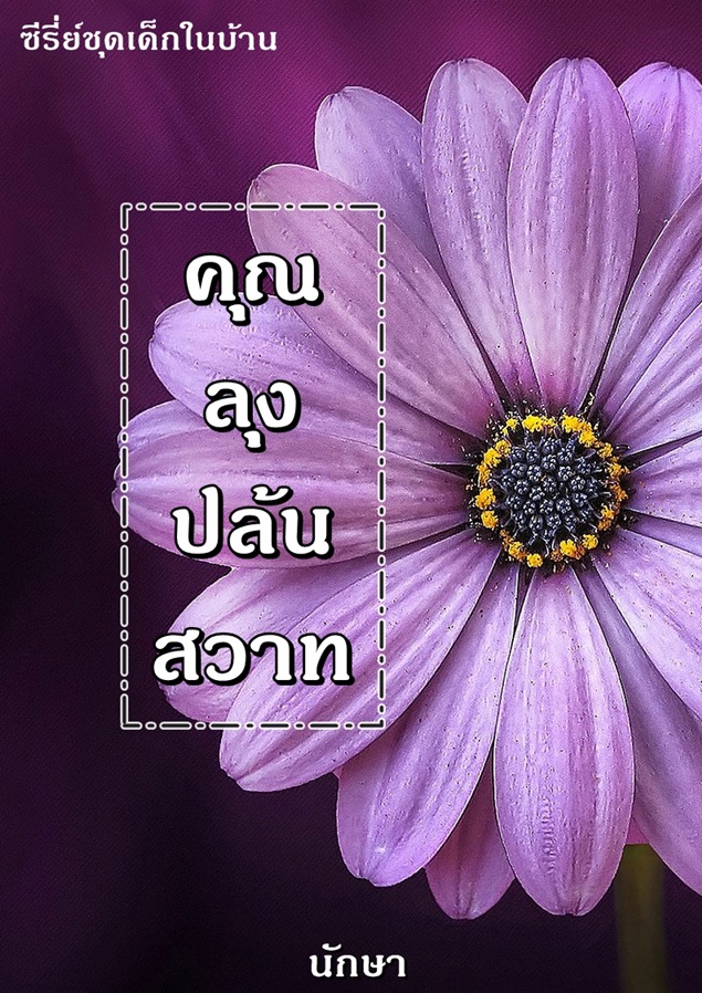 คุณลุงปล้นสวาท (ซีรี่ย์ชุดเด็กในบ้าน)
