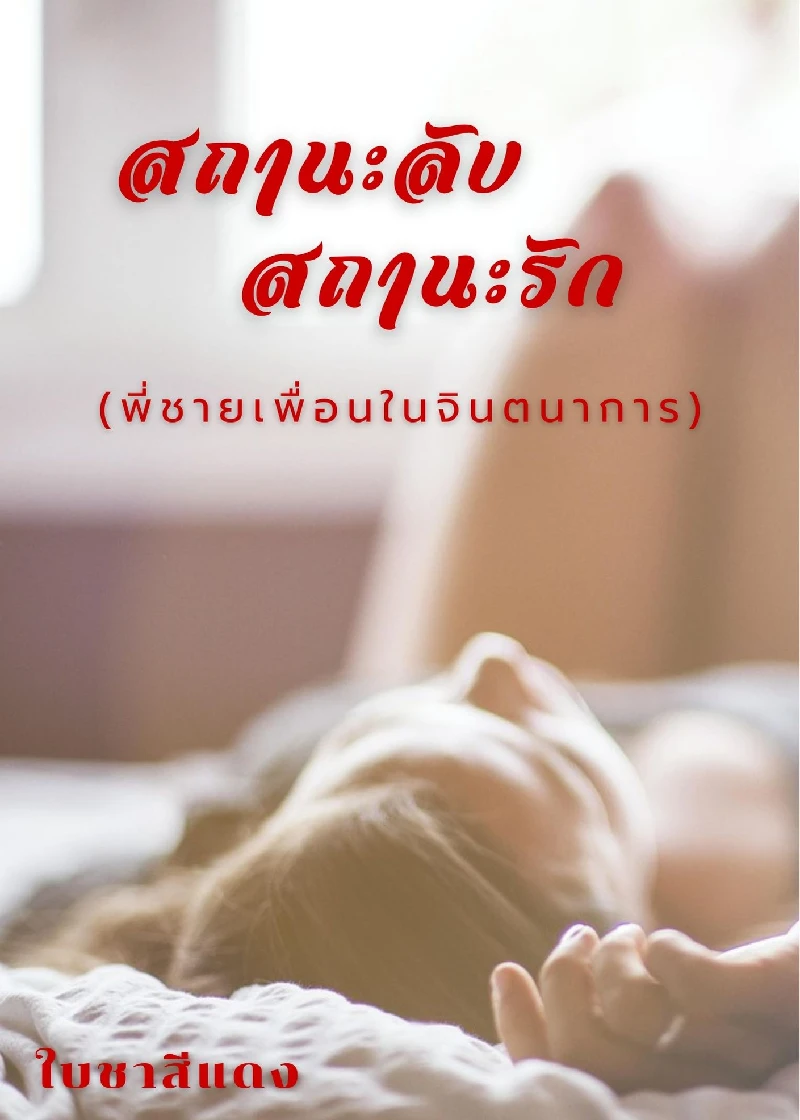 สถานะลับ สถานะรัก (พี่ชายเพื่อนในจินตนาการ)
