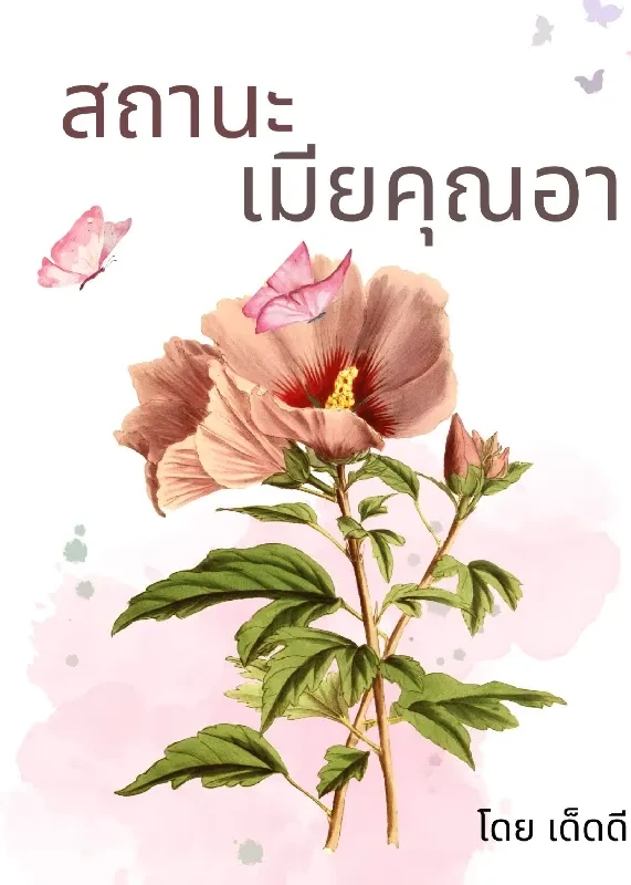 สถานะ เมียคุณอา (มีE-book นะคะ)