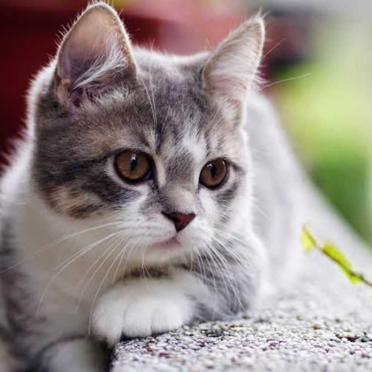 NattyPublicNattyPublicNattyPublicNattyPublicNattyPublicNattyPublicNattyPublicNattyPublicNattyPublicNattyPublicNattyPublc