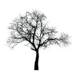 the winter