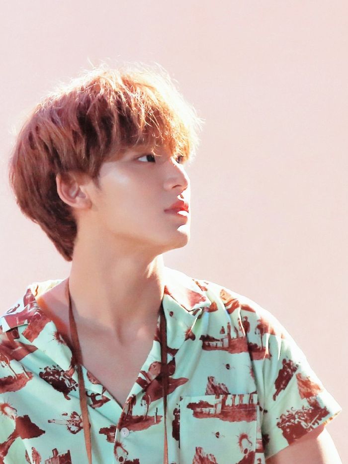 M FOR W ความรักของหมายักษ์ #minwon #meanie #seventeen