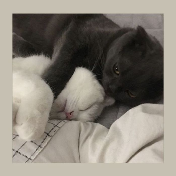 คลังมาร์คแบม