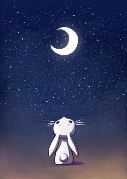 Moon กระต่ายหมายจันทร์