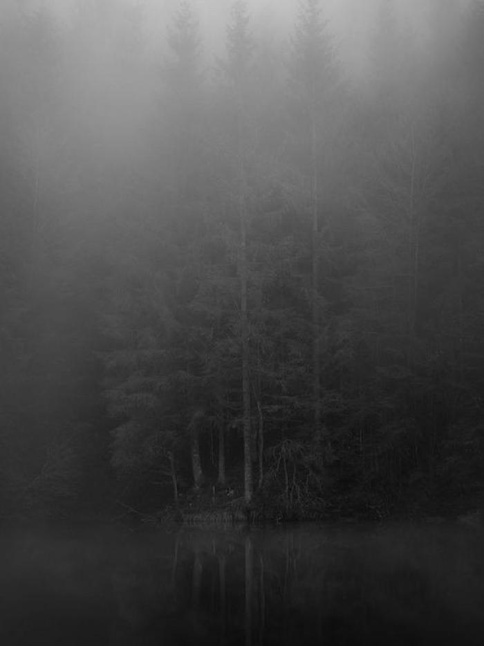 Survival Game[ 01who is werewolf ?? #weefond ]