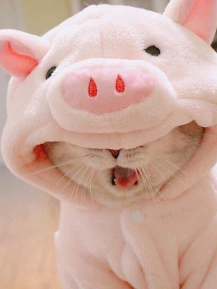 ขอคำนึง|#minno