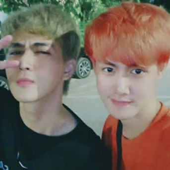 My roommate รูมเมทที่รัก