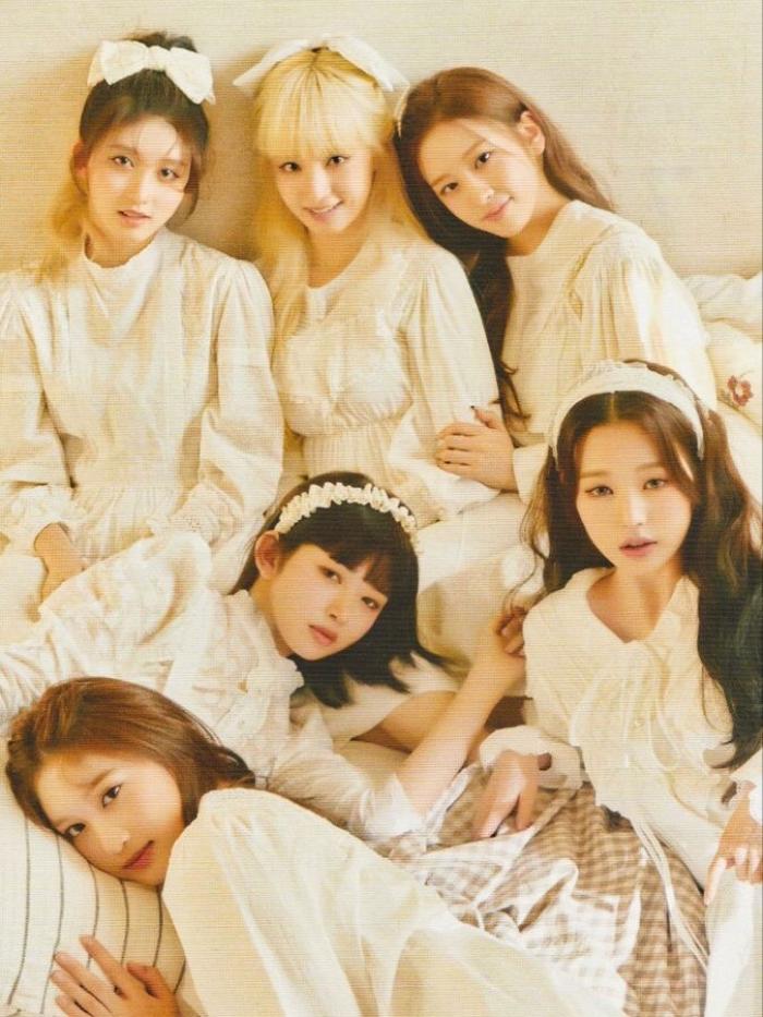 ปก my type is u