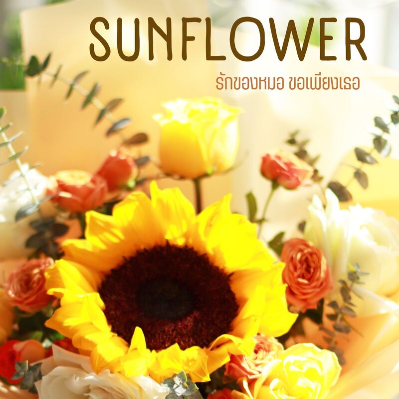 ปก SUNFLOWER รักของหมอ ขอเพียงเธอ