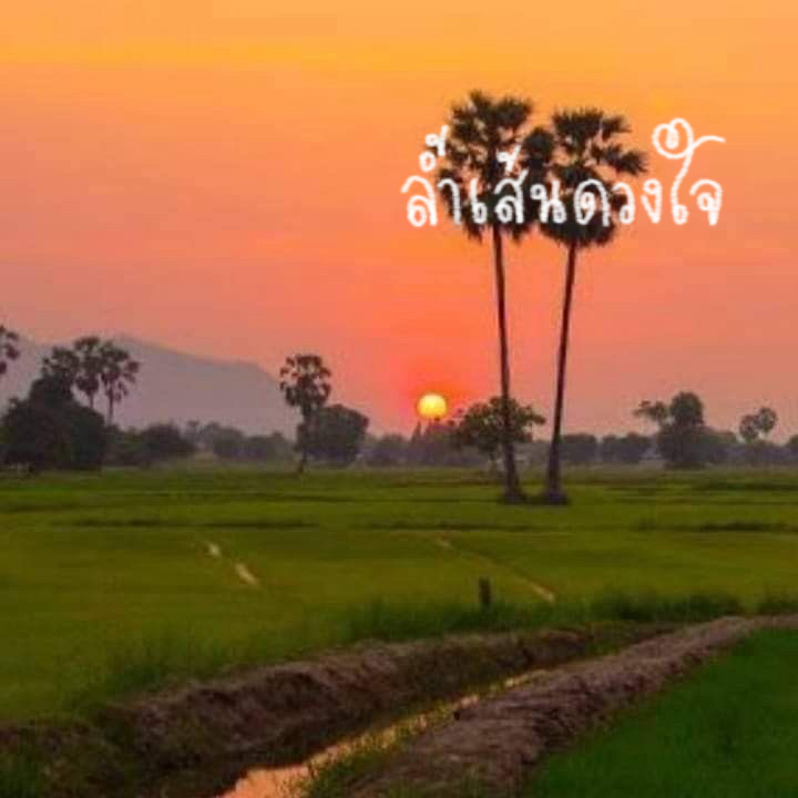 ล้ำเส้นดวงใจ - พ.ศ.๒๕๒๙