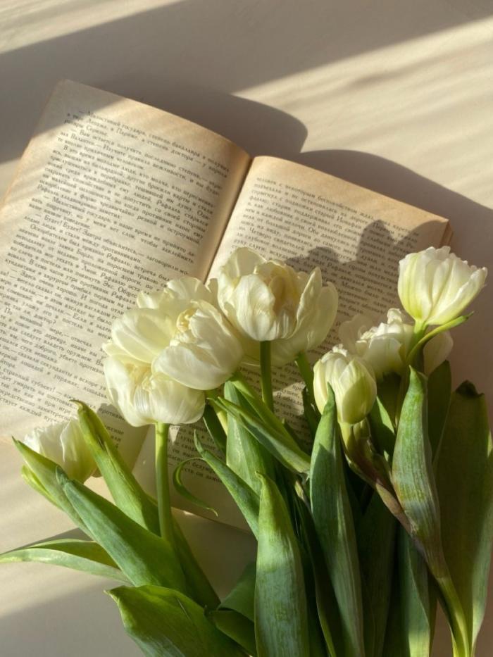 Tulips | รักนี้ต้องตีพิมพ์
